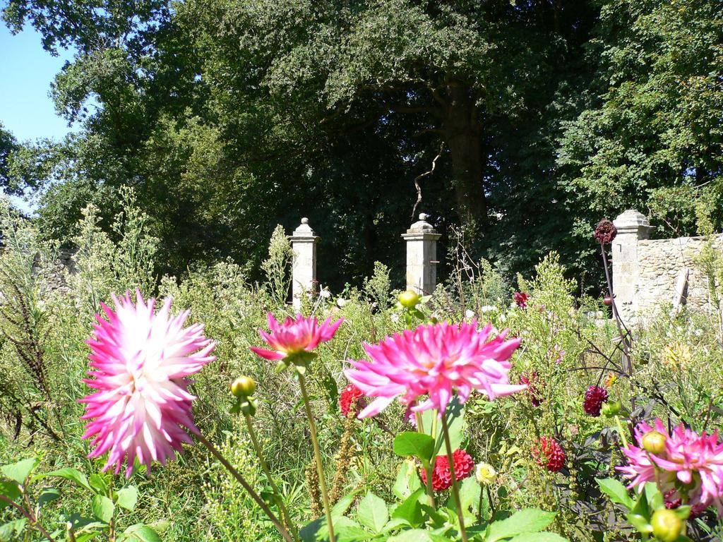 Chateau De La Marronniere Bed & Breakfast Aizenay Exterior foto